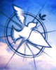 Logo colombe
