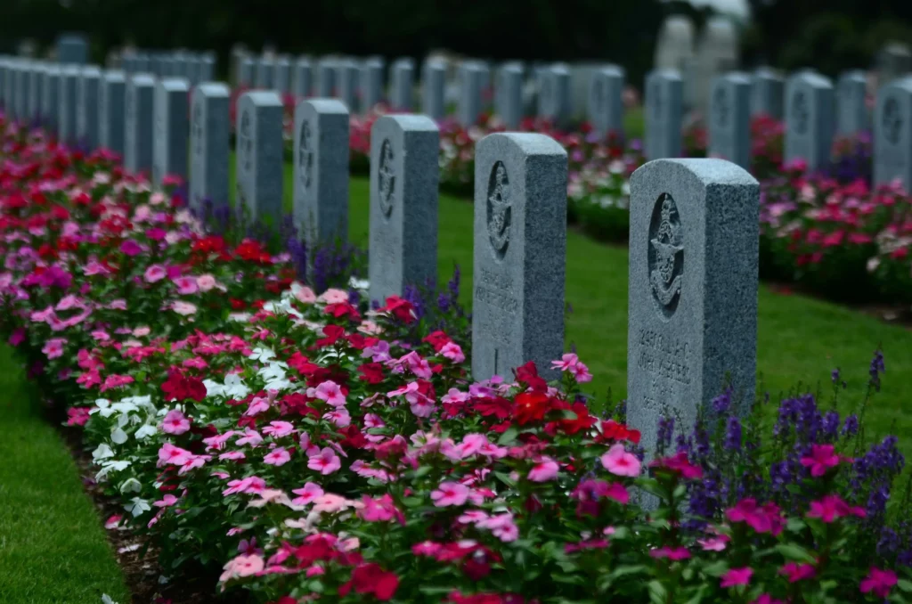 Sépultures alignées dans un cimetière paysager fleuri.